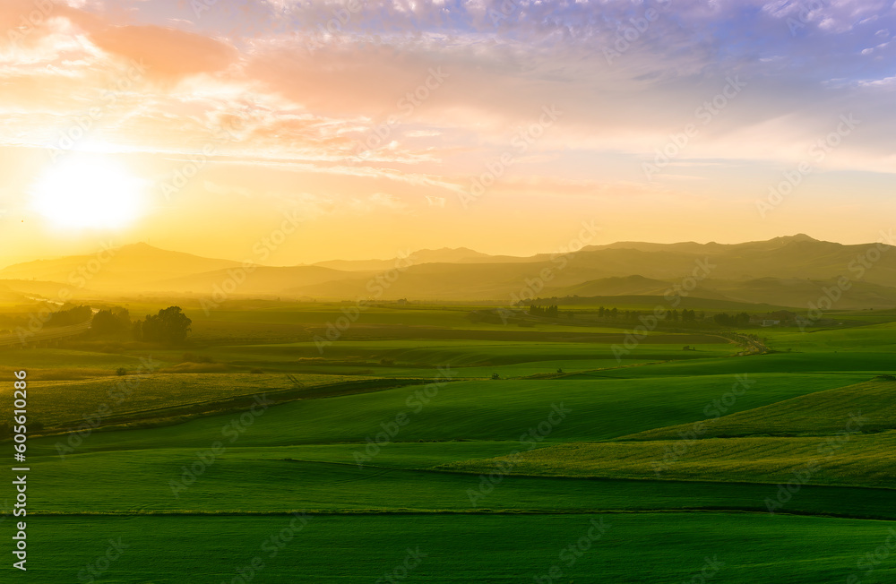 green field in countryside at sunset in the evening light. beautiful spring landscape in the mountains. grassy field and hills. rural scenery