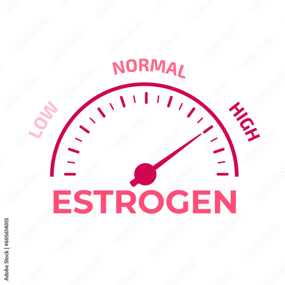 Estrogen level meter. Vector illustration. Estrogen level meter. Vector illustration.