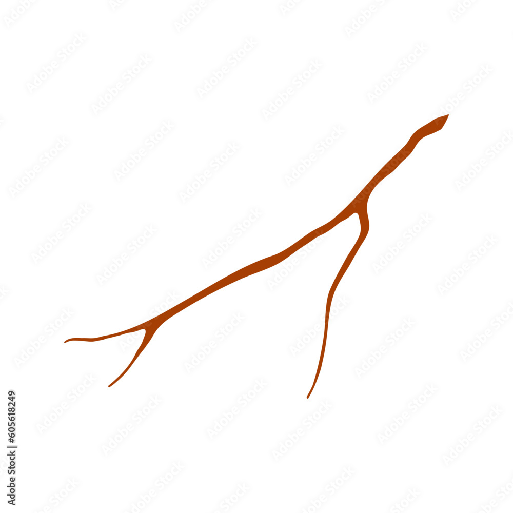 Tree branch, twig, stick illustration. Hand drawn style flat design, isolated vector. Botanical, plant element wood Tree branch, twig, stick illustration. Hand drawn style flat design, isolated vector. Botanical, plant element wood