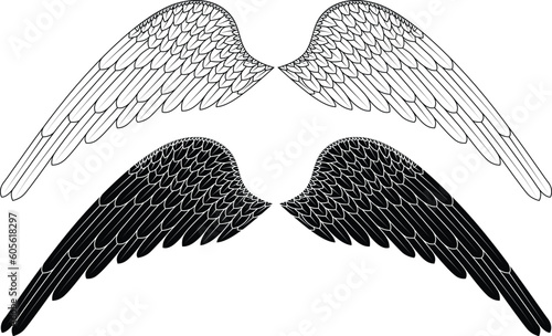angel wings vector photo
