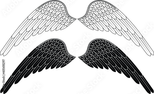 angel wings vector