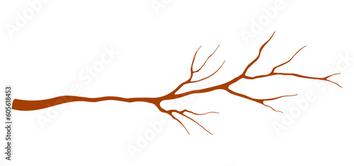 Tree branch, twig, stick illustration. Hand drawn style flat design, isolated vector. Botanical, plant element wood