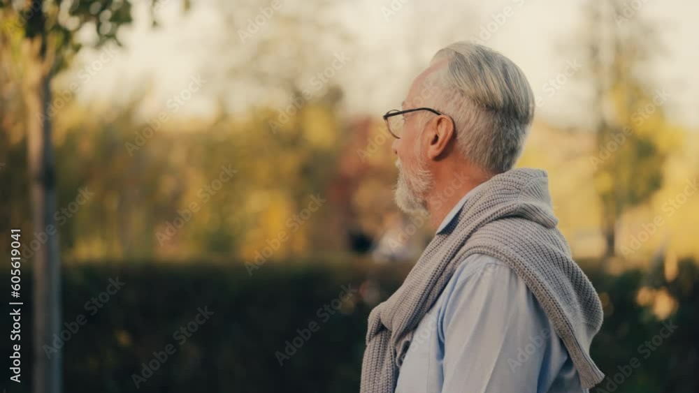 custom made wallpaper toronto digitalRelaxed senior man in glasses walking in city park, enjoying nature and rest