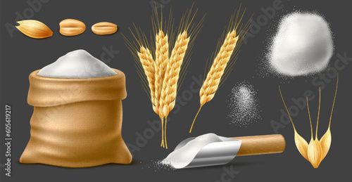 Realistic wheat products. Agricultural grain crop, isolated spikelets, grain and flour bag, harvest, main bread ingredient, burlap packaging with oat or rye. 3d elements, utter vector set