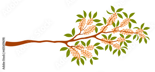 Osmanthus tree branch with flowers illustration. Hand drawn style flat design, isolated vector. Traditional Asian holiday Mid Autumn Festival floral, botanical element, fragrant olive bloom, blossom