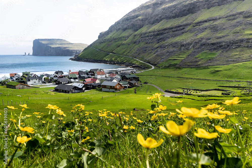 Landscape with flowers and grass Faroe Islands Tjørnuvík view