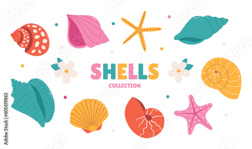 Tropical cartoon seashell
