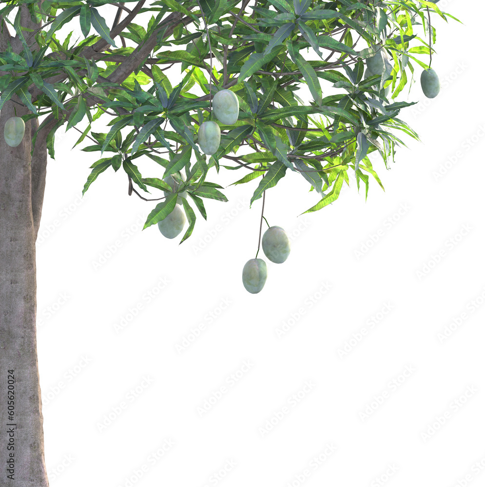 Foto de Green tree png ing_ Tree with isolated white_ Tropical tree ...