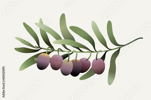 Olive branch gradient digital hand drawn illustration. Modern trendy minimalistic isolated drawing element.