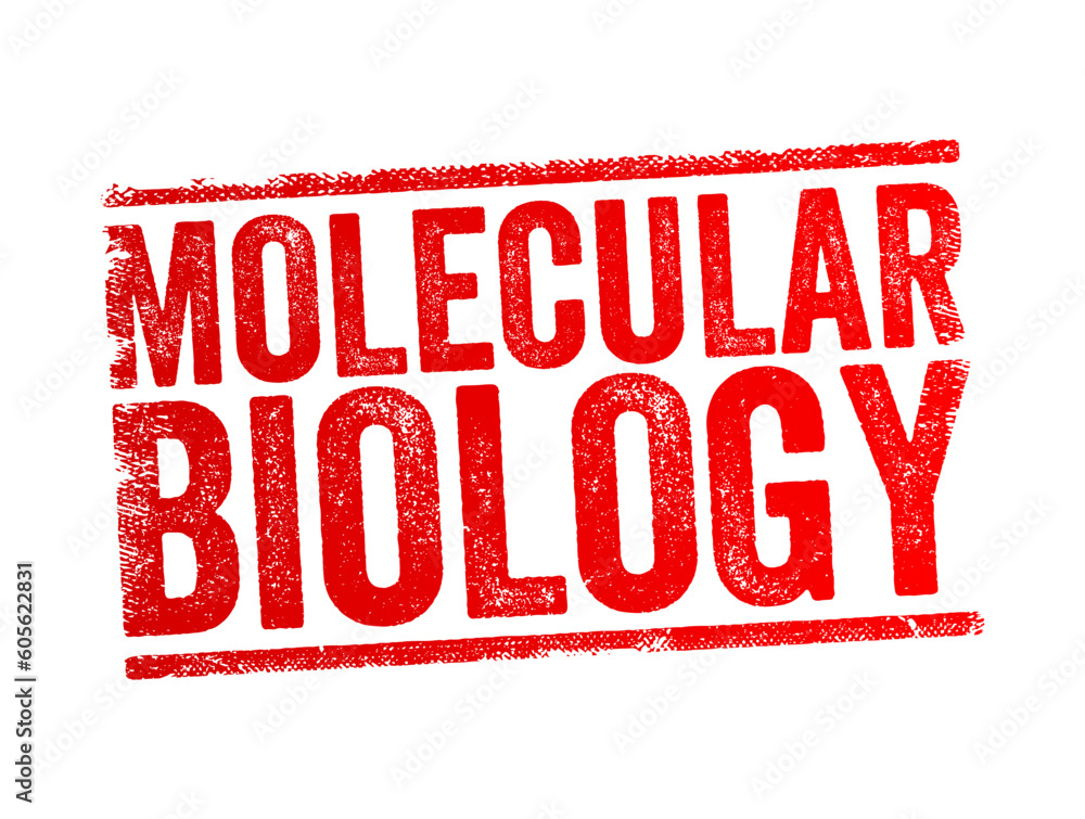Molecular Biology - branch of biology that studies the molecular basis of biological activity, text concept stamp Molecular Biology - branch of biology that studies the molecular basis of biological activity, text concept stamp