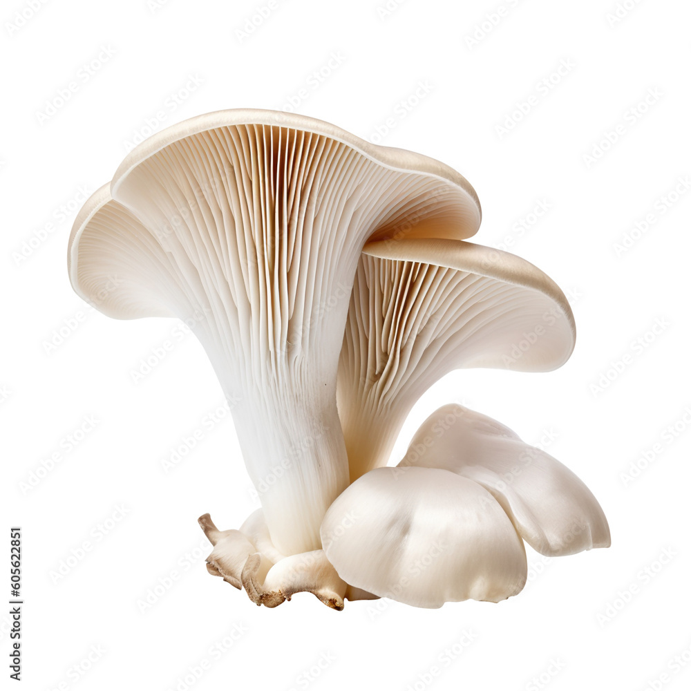 mushrooms isolated on white created with Generative AI mushrooms isolated on white created with Generative AI
