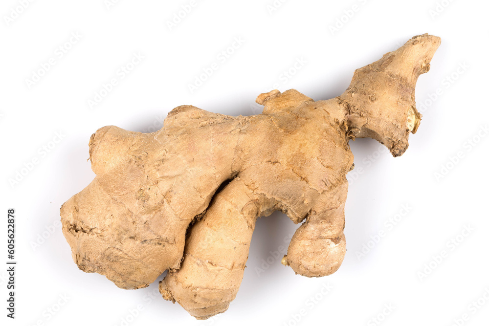 fresh ginger on white background fresh ginger on white background