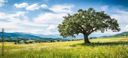 A serene green summer meadow, adorned with vibrant flowers, embraces an ancient oak tree, painting a picturesque atmospheric landscape. Ai-genereted