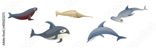 Ocean Underwater Animals with Walrus, Swordfish, Hammerhead, Dolphin and Killer Whale Vector Set