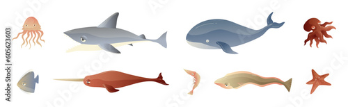 Ocean Underwater Animals with Jellyfish, Shark, Whale, Octopus, Shrimp, Starfish and Narwhale Vector Set