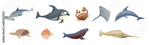 Ocean Underwater Animals with Walrus, Swordfish, Hammerhead, Dolphin, Crab, Turtle and Killer Whale Vector Set
