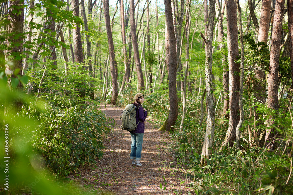 Obraz premium 休日の初夏の森でハイキングを楽しむ30代日本人女性