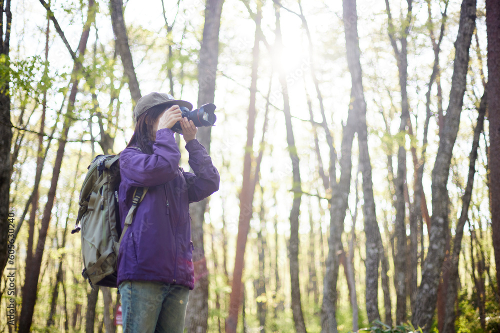 夏の森で趣味の撮影を楽しむ30代日本人女性のカメラマン