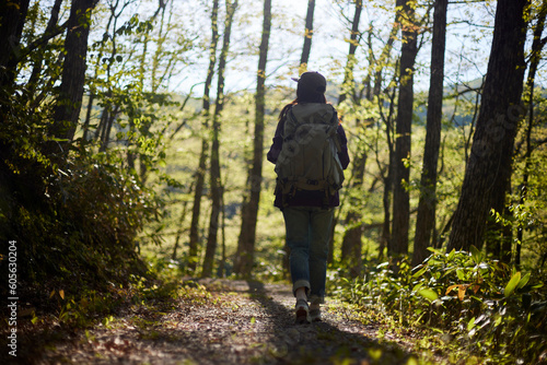 Wallpaper Mural 休日の初夏の森でハイキングを楽しむ30代日本人女性 Torontodigital.ca
