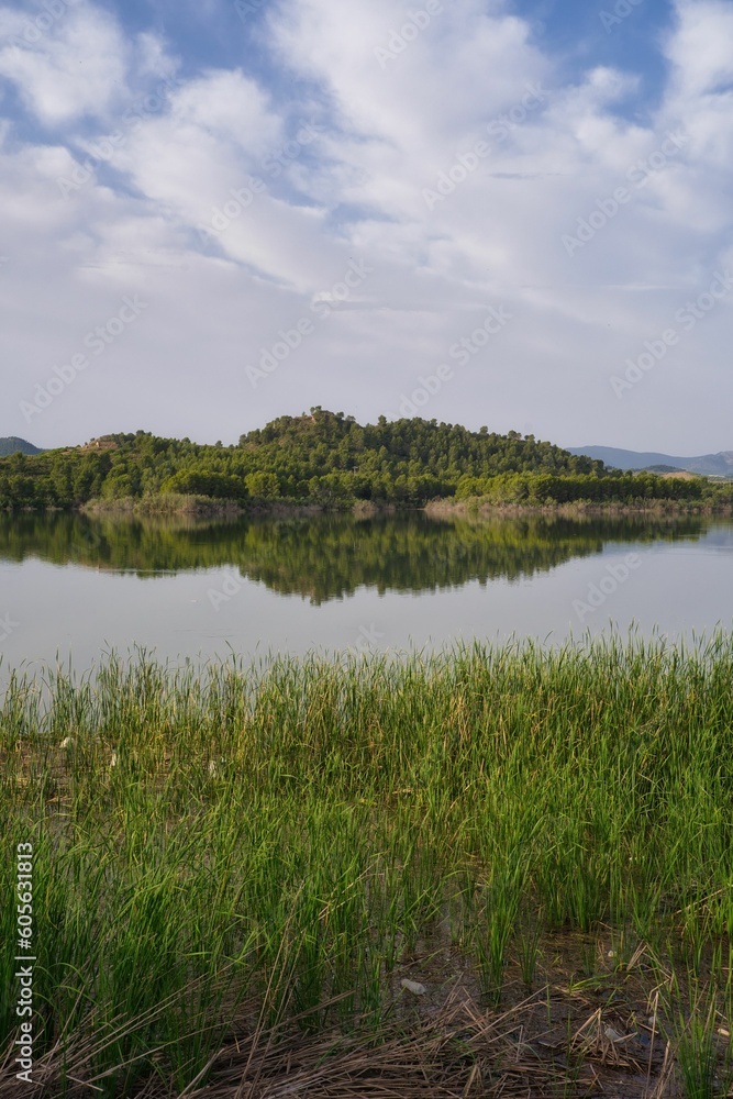 Vertical shot of a small lake in the countryside - view from the shore