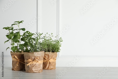 Different aromatic potted herbs on floor near white wall. Space for text