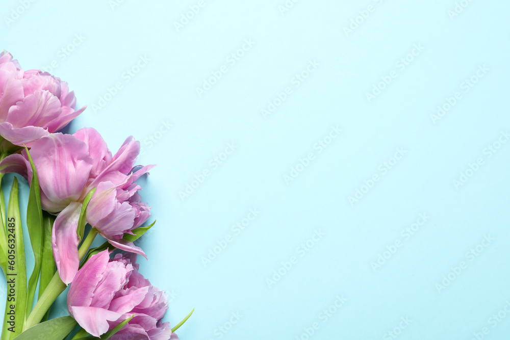 Beautiful colorful tulip flowers on light blue background, top view. Space for text