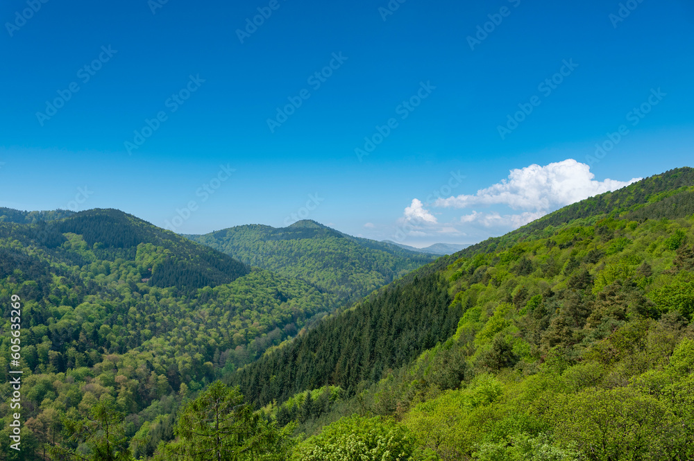 Blick von Burg Landeck bei Klingenmünster auf die Landschaft des Pfälzerwaldes. Region Pfalz im Bundesland Rheinland-Pfalz in Deutschland