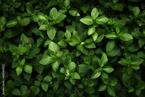 Green foliage background, Generative ai