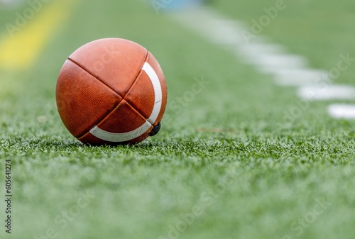 Selective focus of a football on green grass in a football field