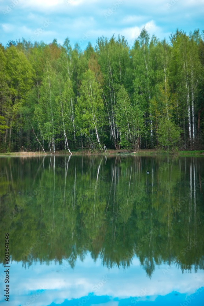 Pond in the forest. Reflection of the forest in the water