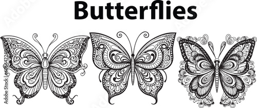 A set of coloring books of butterfly vector illustrations.