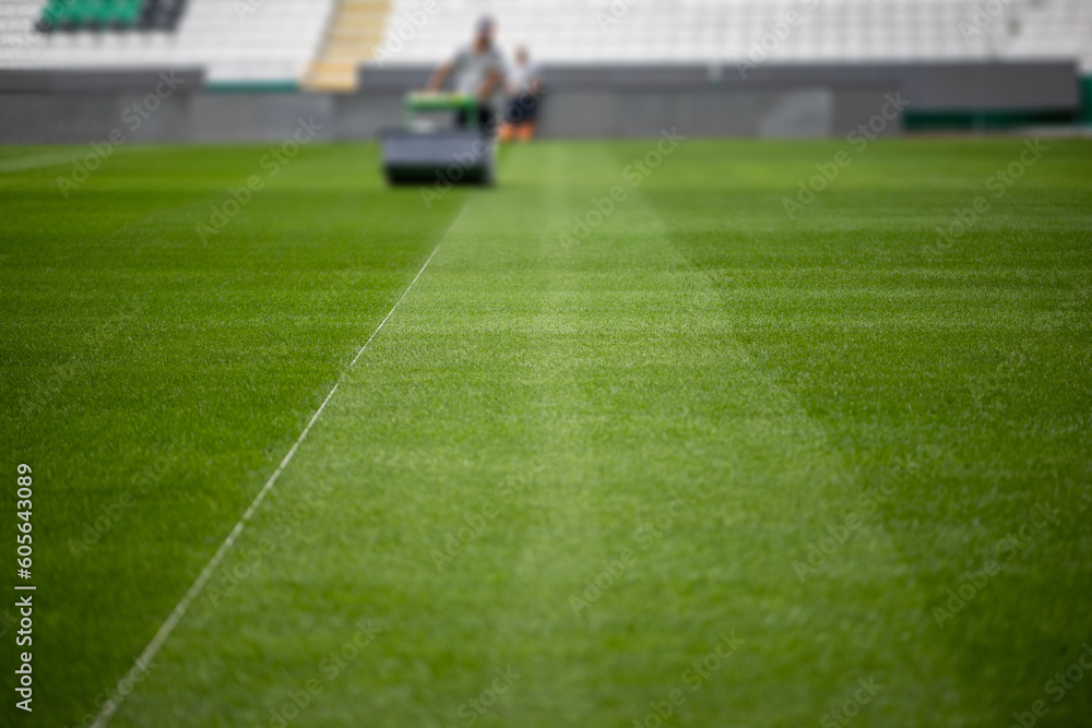 Fototapeta premium Green grass soccer field
