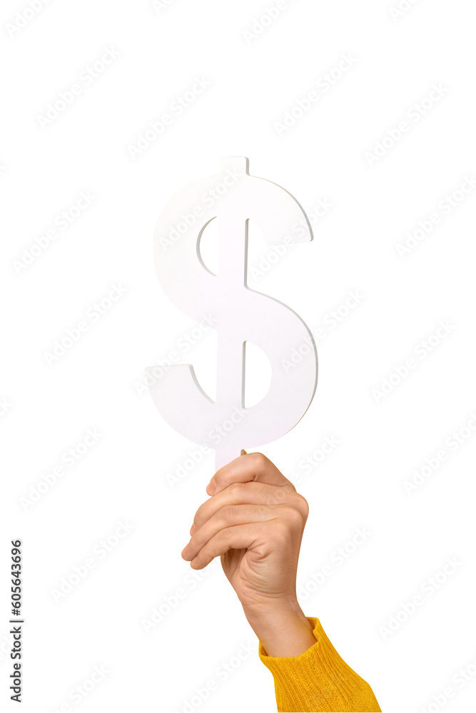 dollar symbol in hand isolated on transparent background dollar symbol in hand isolated on transparent background