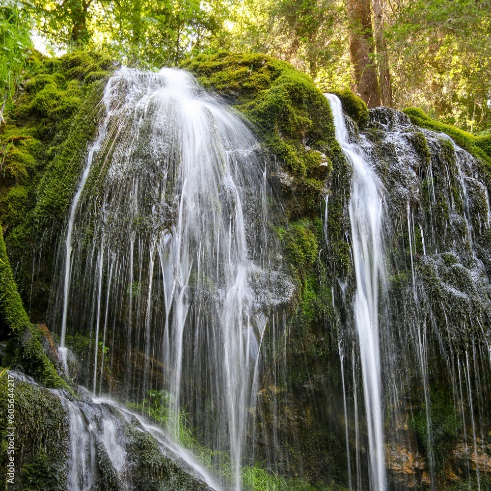 Fototapeta premium Waterfall in a forest covered in greenery under the sunlight