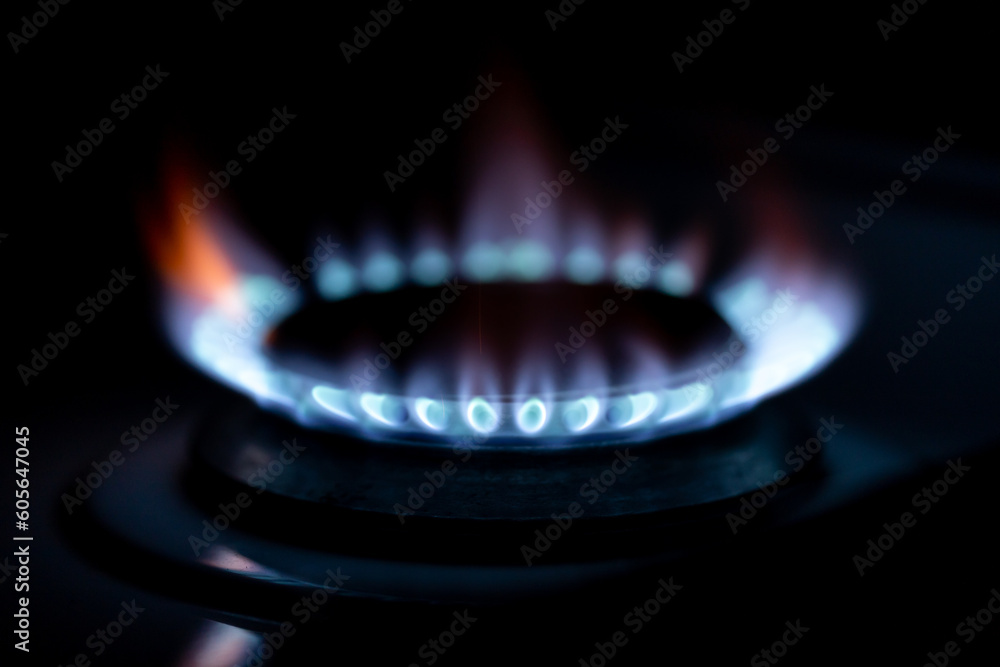 Natural gas used in homes and industr Natural gas used in homes and industr