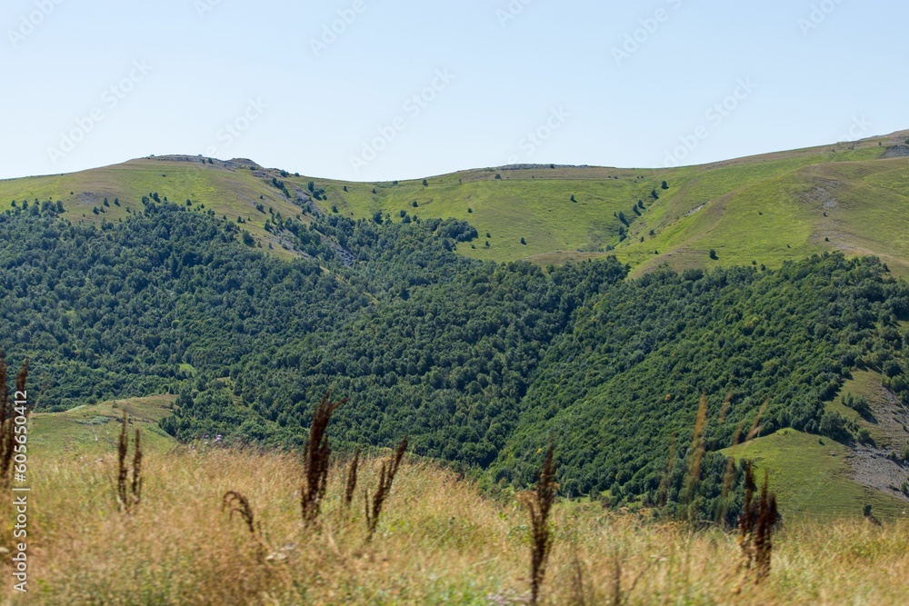 Beautiful mountain covered with green in a natural field under cloudless sky