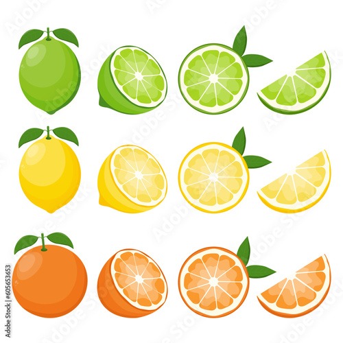 Big vector set of citrus fruits.Orange,lemon and lime icons on white background.Vector illustration