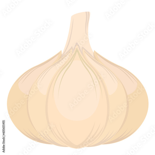 Editable design of an onion
