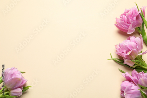 Beautiful colorful tulip flowers on beige background, top view. Space for text © New Africa