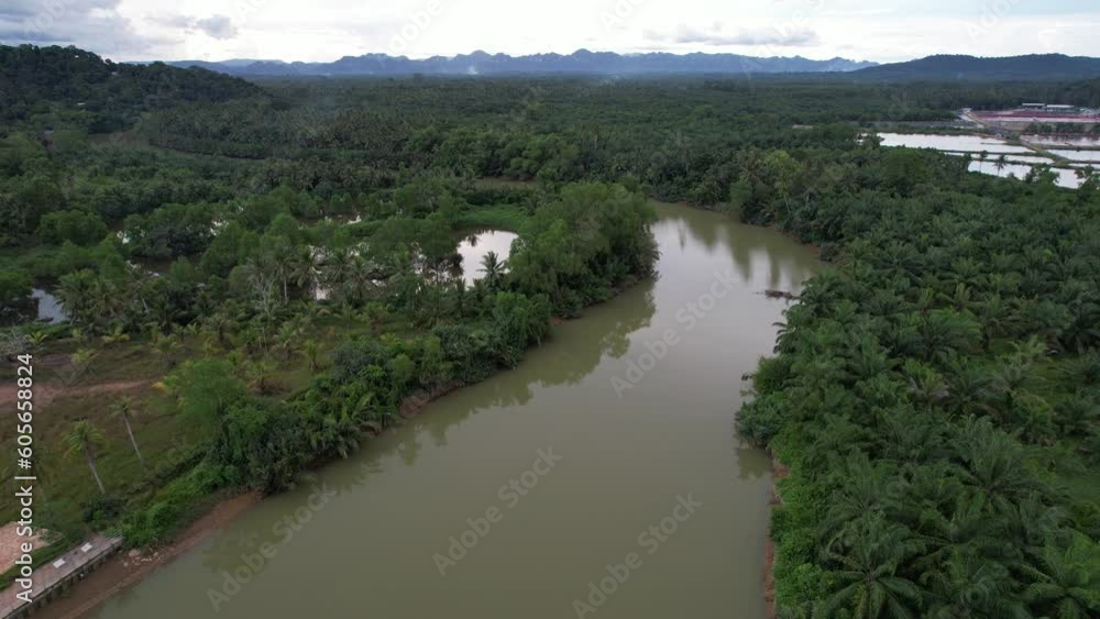Aerial of a river surrounded by the green trees of the dense forest with mountains in background Aerial of a river surrounded by the green trees of the dense forest with mountains in background