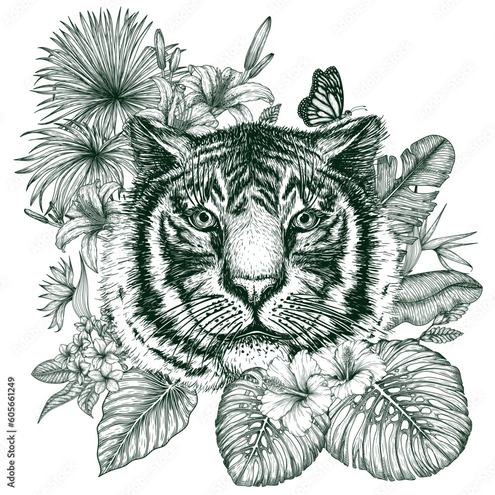 Obraz premium Vector illustration of a tiger in a tropical garden in an engraving style. Palm and banana leaves, liviston, plumeria, monstera, strelitzia, hibiscus