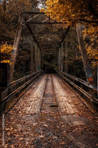 Fototapeta Naklejka Na Ścianę i Meble -  Beautiful vertical shot of an iron bridge in the forest at fall
