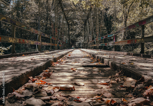 Beautiful historic iron bridge with fallen leaves