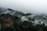 Aerial view of misty clouds floating over a forest in the Austrian Alps