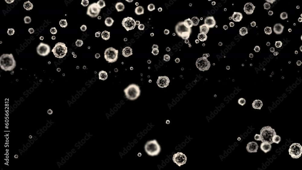 Floating bubbles on a black background Floating bubbles on a black background