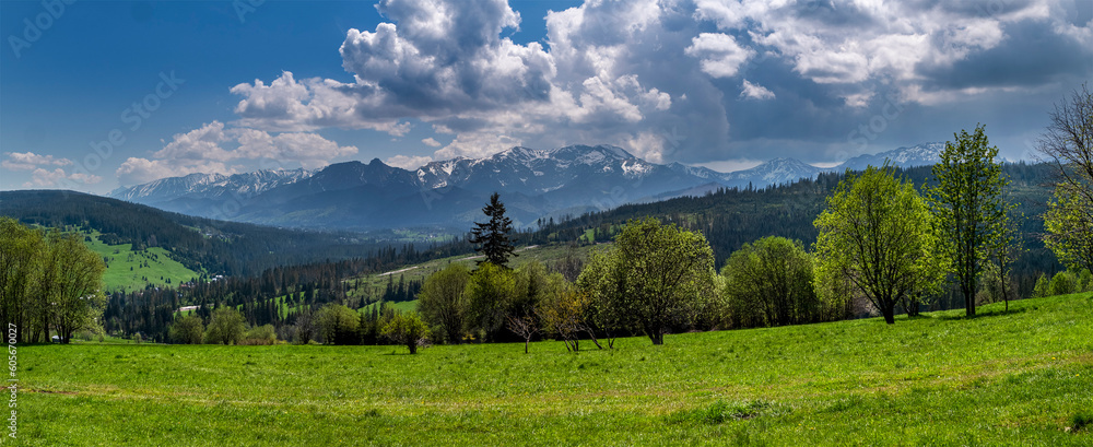 Witów panorama na Tatry