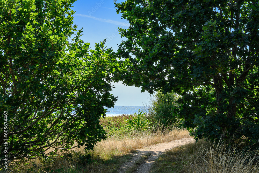 Blick vom Bornholmer Blick vom Bornholmer