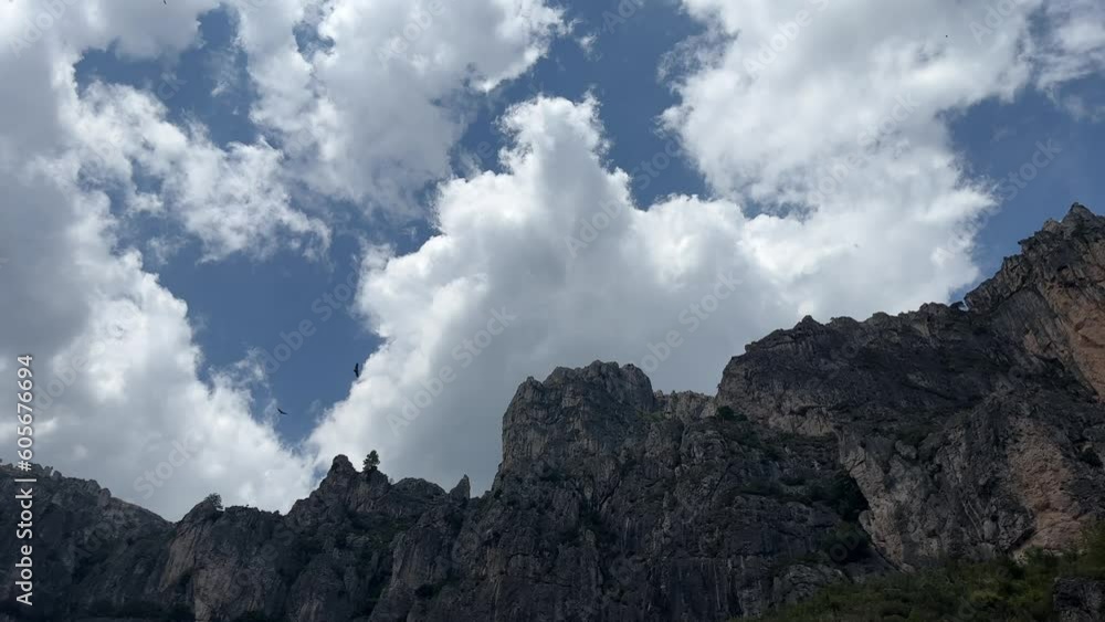 Two eagles cruising down in the air overlooking mountains Two eagles cruising down in the air overlooking mountains