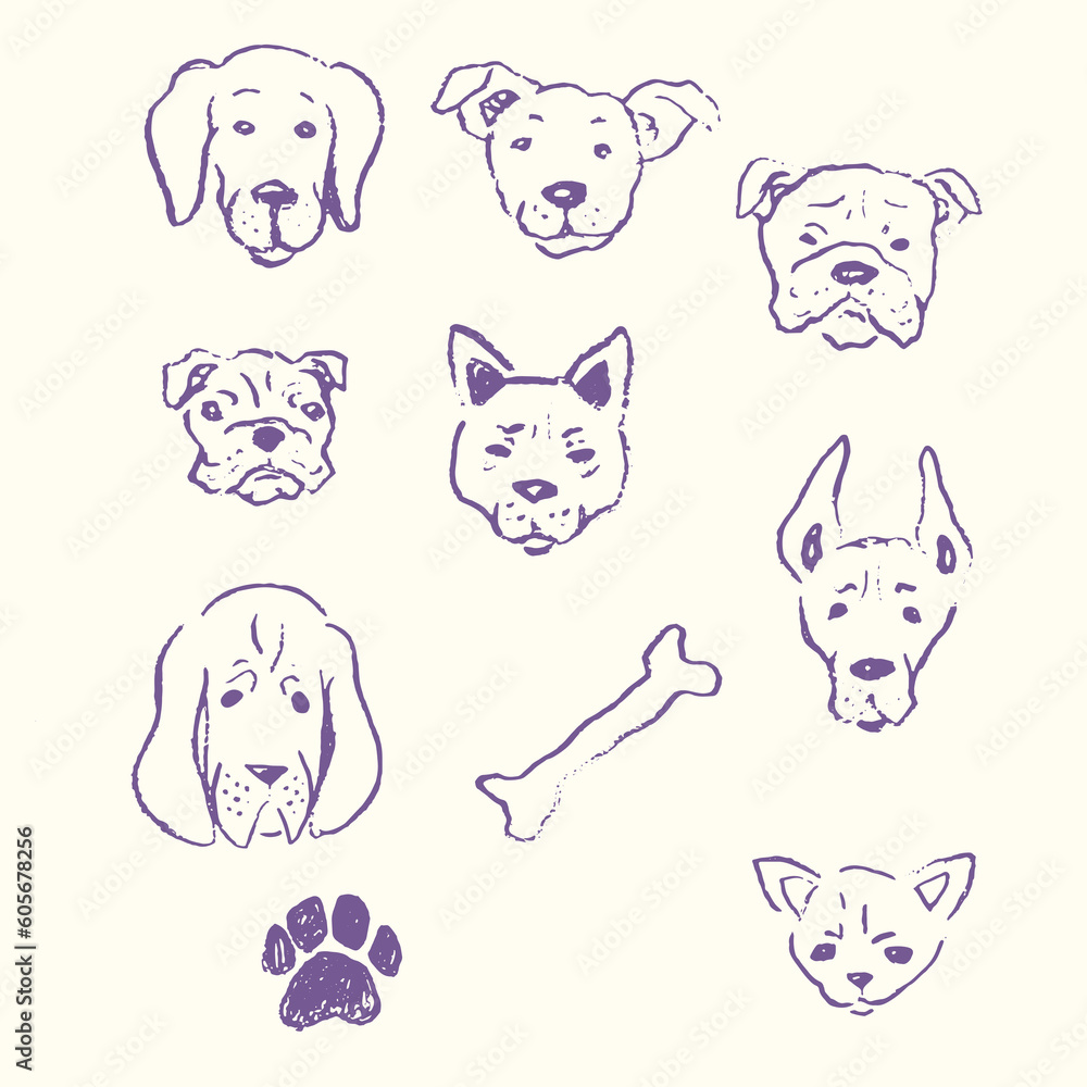 A set of portraits of dogs bulldog, Doberman, husky, shepherd
