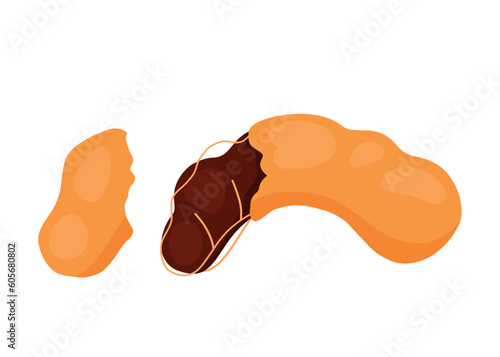Tamarind Fruit Half Opened Icon Animated Vector Illustration